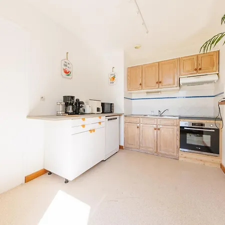 Source Fenestre - Proche Puy De Sancy *